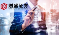 盛剑科技：2025年一季度净利润2061